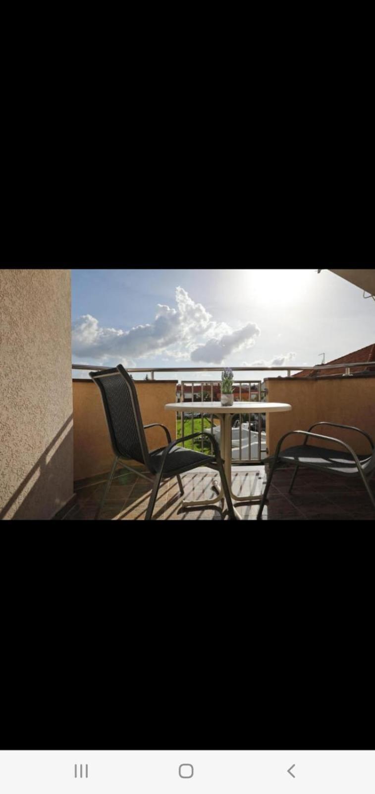 Apartament Zelic