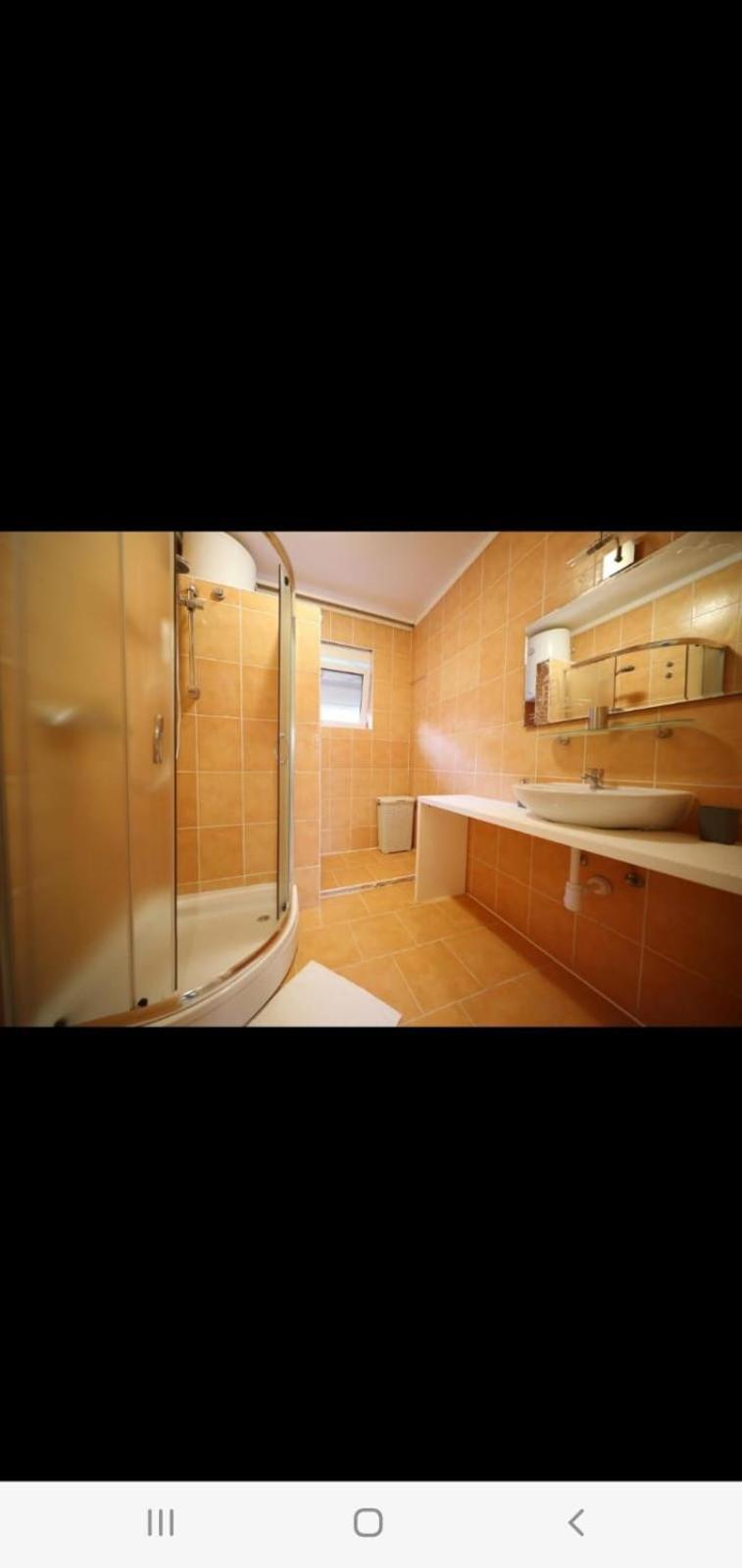Apartament Zelic *