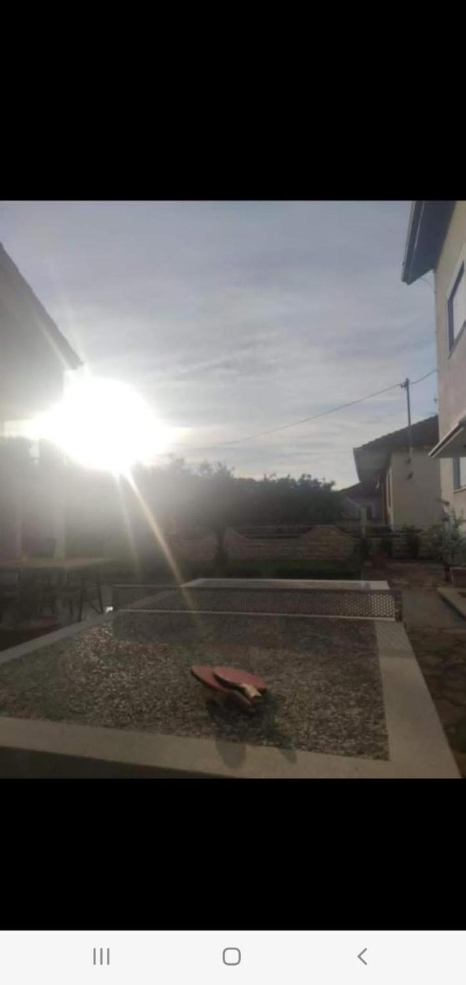 Apartament Zelic