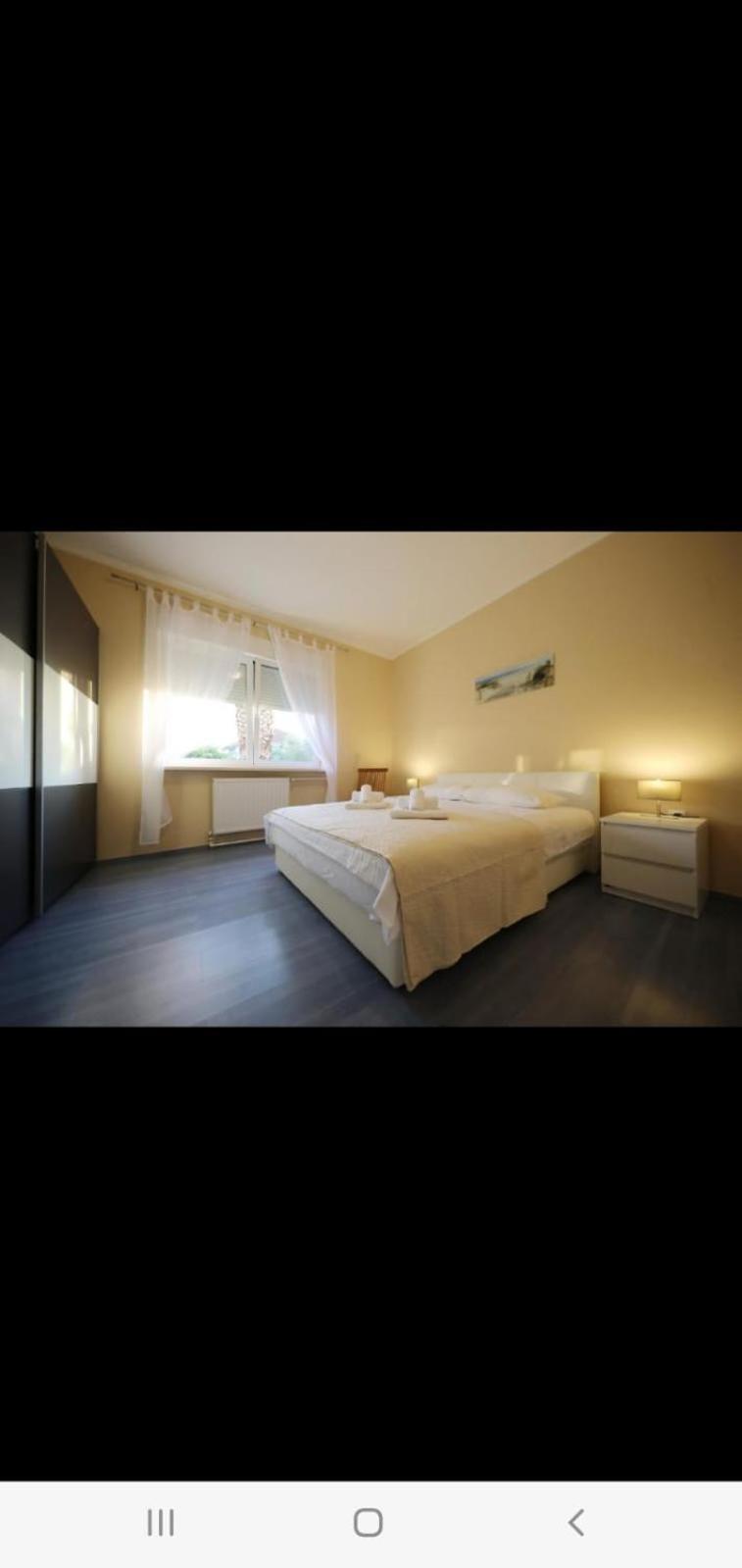 Zelic Apartament *